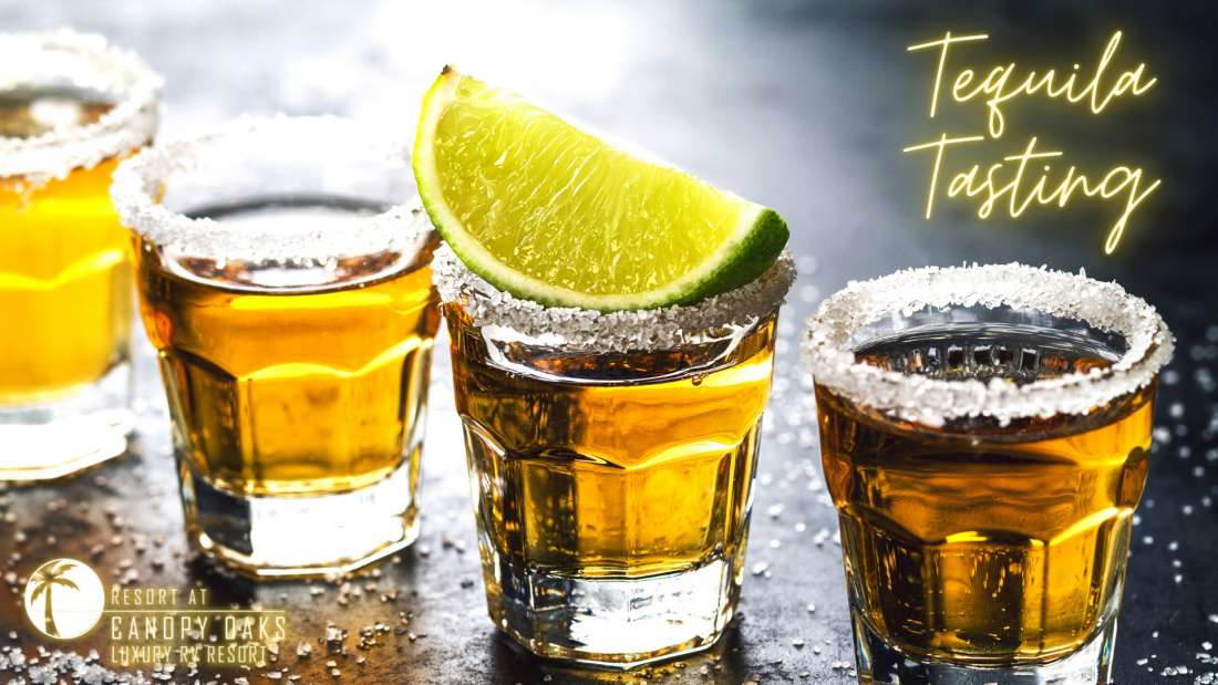 Tequila Tasting at the Tiki Bar