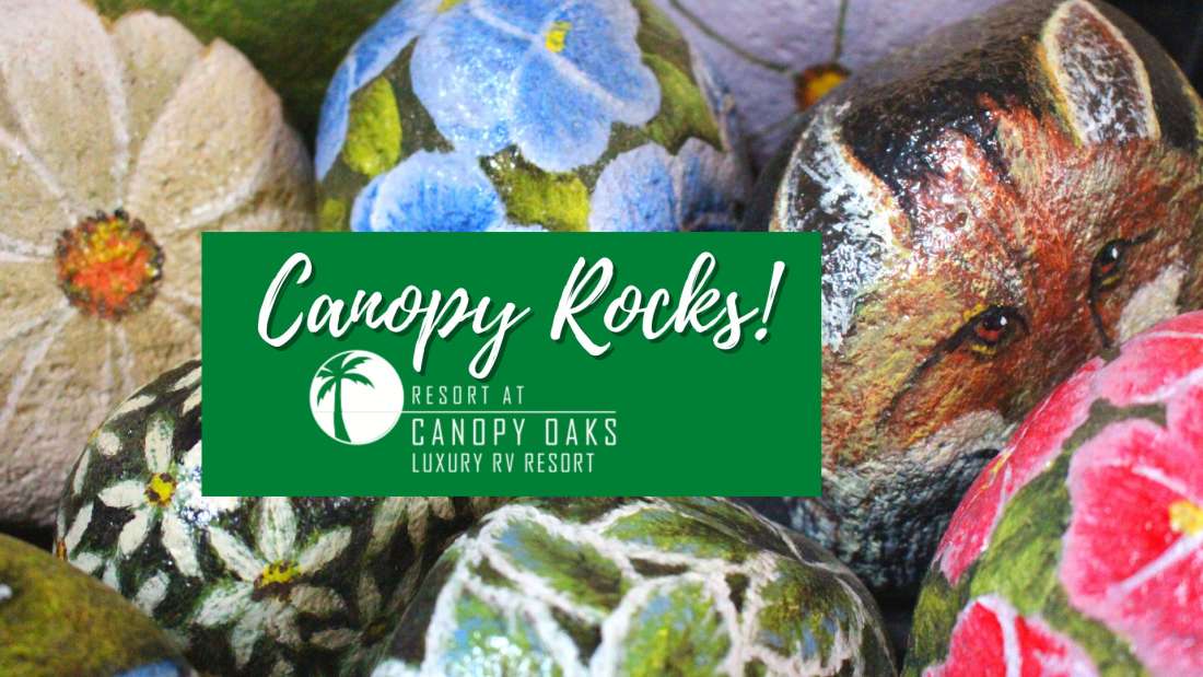 Canopy Rocks!