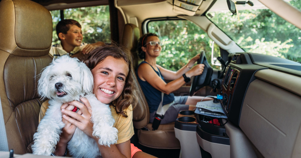 Tips For Safely RVing With Pets